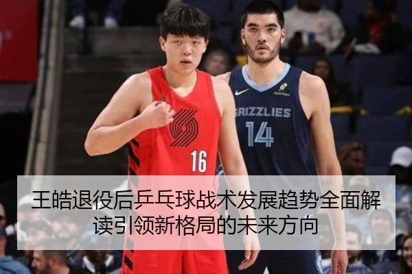 王皓退役后乒乓球战术发展趋势全面解读引领新格局的未来方向